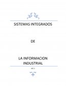 Sistemas integrados de la informacion industrial