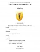 Feminicidio y violencia de género en el Perú