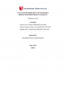 Proyecto de identidad Vallejiana “Vallejiano Exitoso”