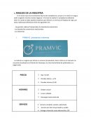 PRAMVIC Lavanderías y tintorerías