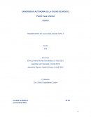 Transporte de glucosa a sodio tipo 1