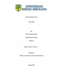 Business Plan Visual Shop