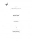 Grupos, organizaciones y sociedad red