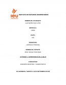 Comunicación Oral Fundamentos y Práctica Estratégica