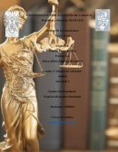 Elementos del derecho procesal penal