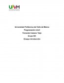 Ensayo de programacion movil