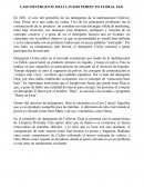 Caso Detergente Deja Floral