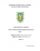 Distinguir los diferentes perfiles del consumidor que existen