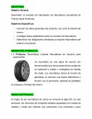 Desarrollar un proceso de importación de Neumáticos procedente de Francia hacia Honduras