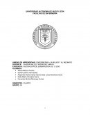 Valoración embarazada 12 SDG