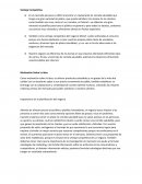 Ventaja Competitiva. Importancia de la planificación del negocio