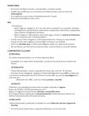 Tejido ÓSEO - Resumen esquematizado