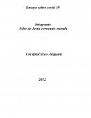 Ensayo sobre Covid 19