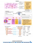 Historia de la neuropsicología y Teorías de aprendizaje