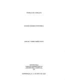 Trabajo de presentación personal y ética profesional