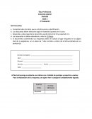 Ética Profesional. Comercio exterior