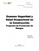 Examen: Seguridad y Salud Ocupacional en la Construcción. Programa de Prevención de Riesgos
