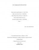 Fase 4: Importancia de la Revisoría Fiscal