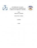 Riesgos en Auditoría