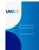 Desarrollo humano y sus influencias