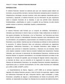 Ensayo: “Sistema Financiero Nacional”