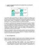 Respuestas bioquímicas