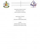 Ensayo Sobre la eutanasia bioetica