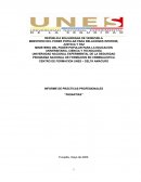 Informe de prácticas profesionales “Pasantias”