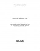 Fundamentos financieros. Mundienlace en contacto SAS