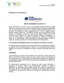 Analisis del desempeño financiero. Grupo Aeroméxico, S.A.B de C.V