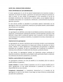 Importancia de los agronegocios