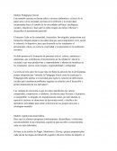 Modelo Pedagógico Social