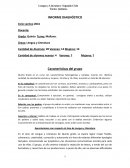 Idea para informe diagnóstico