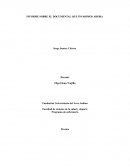 Resumen sobre El documental Que invadimos ahora