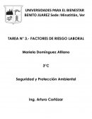 Cuestionario sobre Factores de Riesgo Laborales