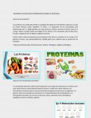 Responda las siguientes interrogantes sobre de proteinas