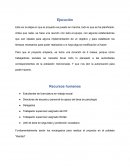 Implementacion para una empresa prestadora de servicios