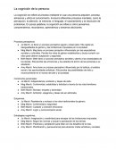 La cognición de la persona