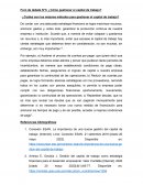 Foro de debate N°3: ¿Cómo gestionar el capital de trabajo?