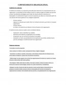 Comportamiento organizacional. Análisis de contexto