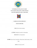 Otitis externa eczematosa