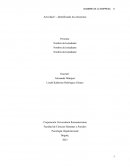 Actividad 1 - Identificando las estructuras