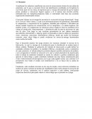 Informe juego de la cerveza