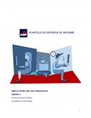 Presupuesto empresa SNO SPA