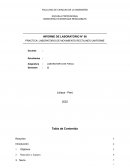 Práctica: laboratorio de movimiento rectilineo uniforme