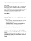 Proyecto de Fábrica de Puertas Placas de Pino, Cedro y Cedrillo con Mejoras en la Parte Productiva