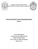 Tipos de estructura organizacional