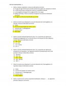 Preguntas claves sistema respiratorio