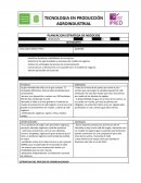 Estrategias del proceso de comercialización