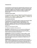 Etapas de la transcripción del ADN